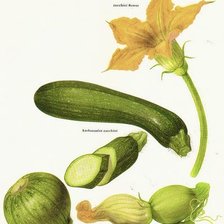 Схема вышивки «calabazas»