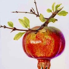 Схема вышивки «granada»