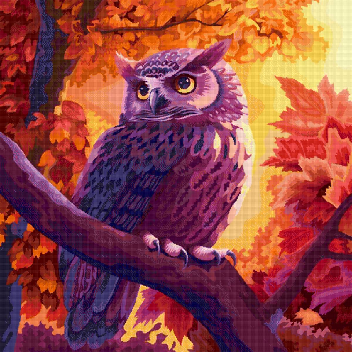 Сова - сова, птицы - предпросмотр