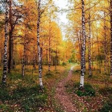 Схема вышивки «№2719077»