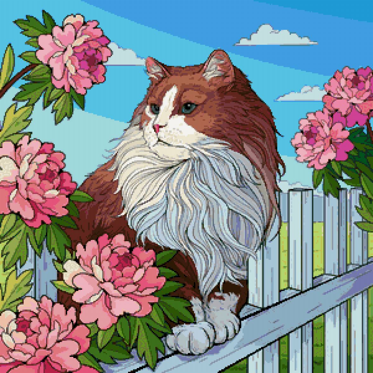 Кот на заборе - животные, животное, кот - предпросмотр