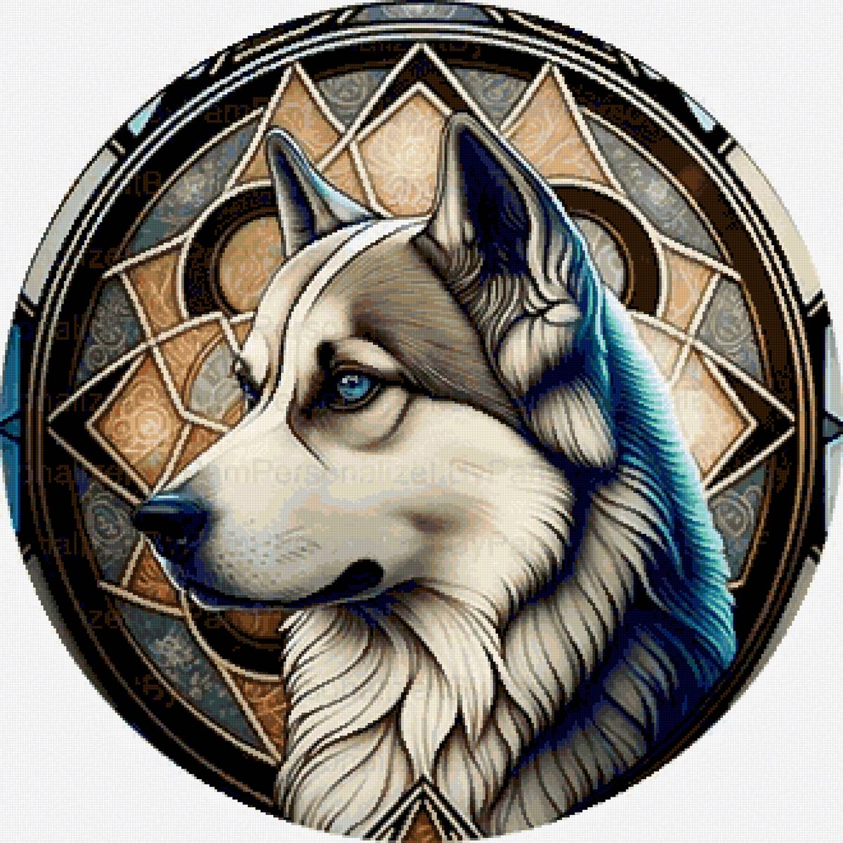 Портрет Хаски - собака, животные, собаки - предпросмотр