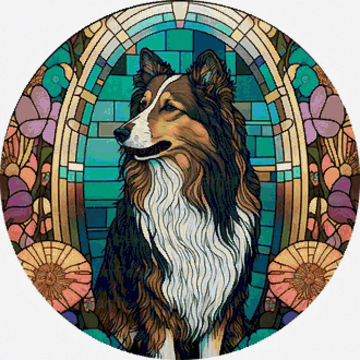 Портрет Колли - животные, собаки, собака - предпросмотр