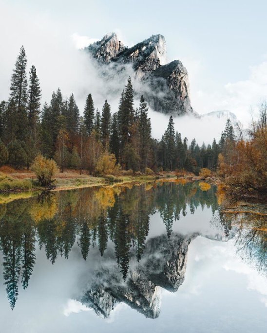 №2719619 - оригинал