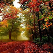 Схема вышивки «№2720280»