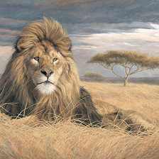 Схема вышивки «Африка. Люсси Билодау»