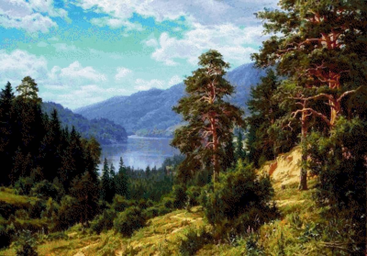 forest - предпросмотр