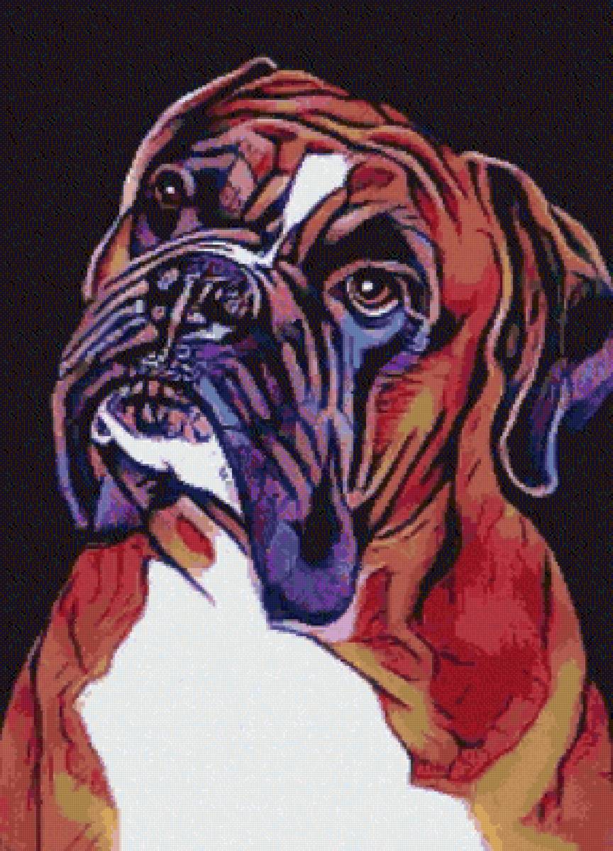 Портрет боксера - собака, собаки, боксер, животные - предпросмотр