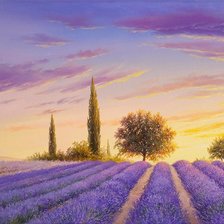 Схема вышивки «лавандовое поле»