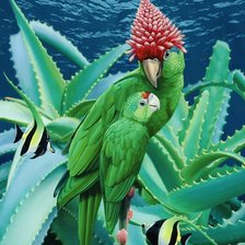 Схема вышивки «vida silvestre»