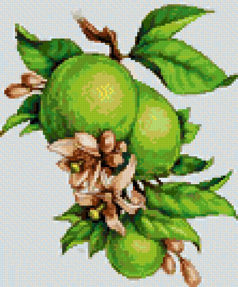 limones - предпросмотр