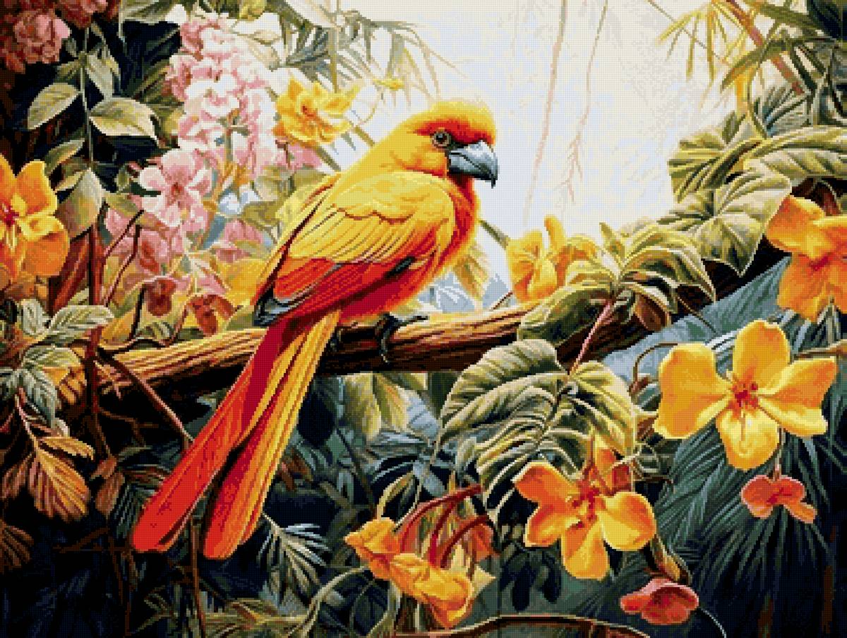 №2721941 - попугай, птицы - предпросмотр