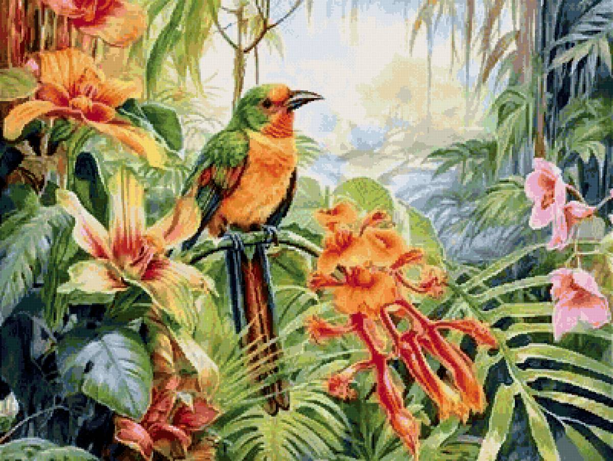 №2722209 - птицы, попугай - предпросмотр