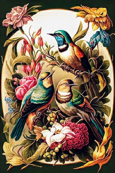 №2722250 - птицы - оригинал