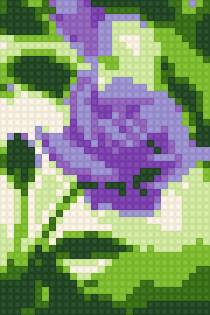 Hoa hồng - предпросмотр