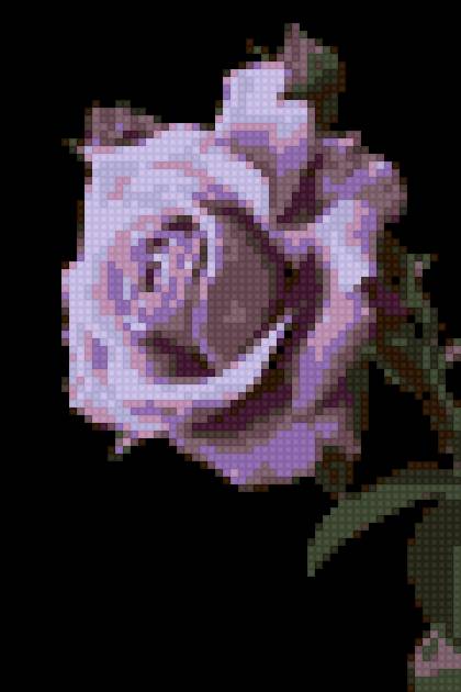 Hoa hồng2 - предпросмотр