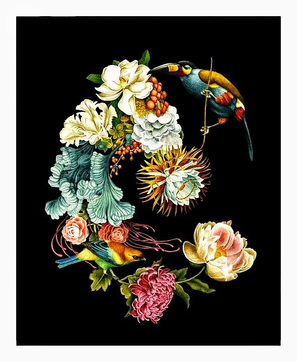 №2722502 - птицы, цветы - оригинал