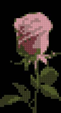 Pink rose02 - предпросмотр