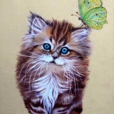 Схема вышивки «котенок с бабочкой»