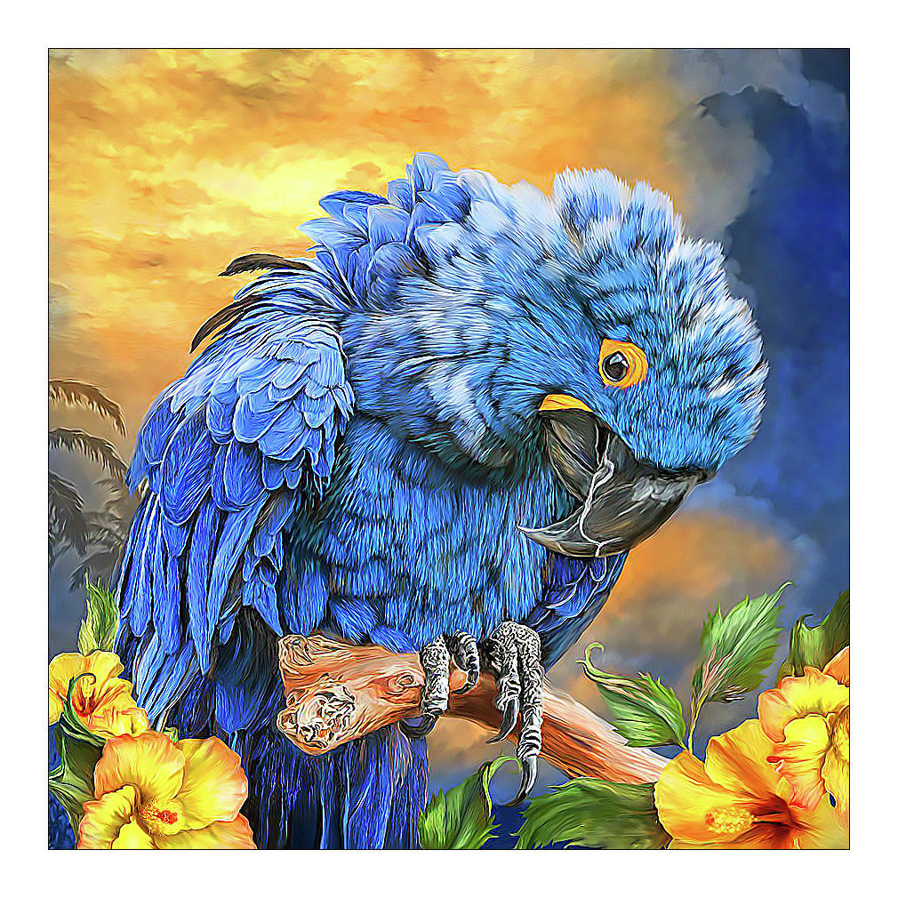 №2722962 - попугай, птицы - оригинал