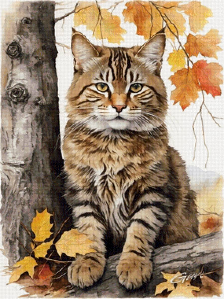 Коь - кот 🐱 - предпросмотр