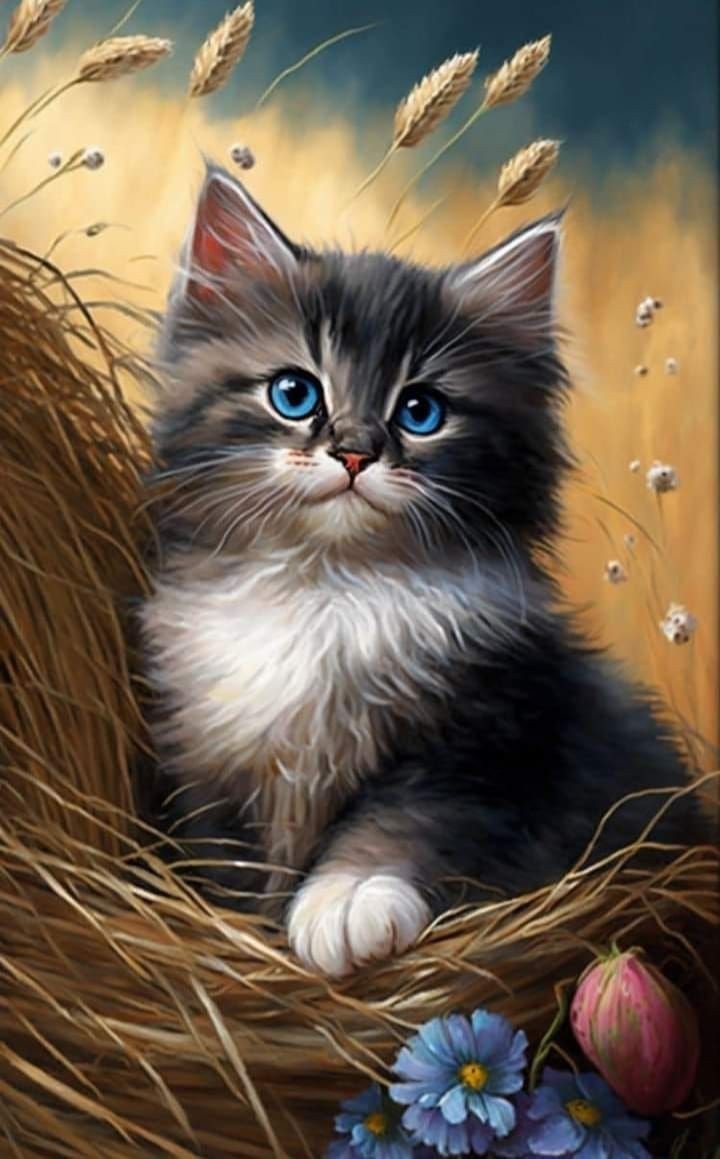 Котик - котик - оригинал