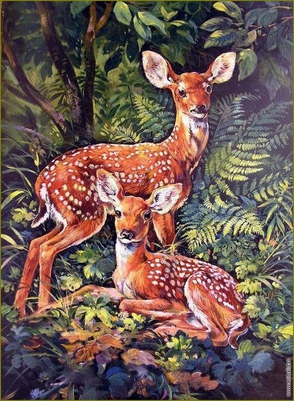 Оленята - олень, животные - оригинал