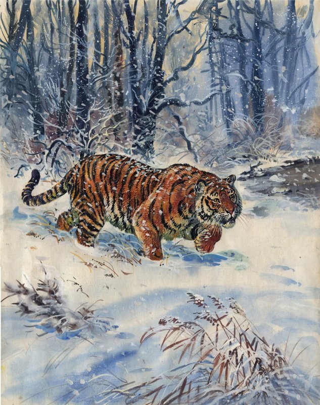 Зима - тайга, зима, лес, природа, тигр, дикие кошки - оригинал