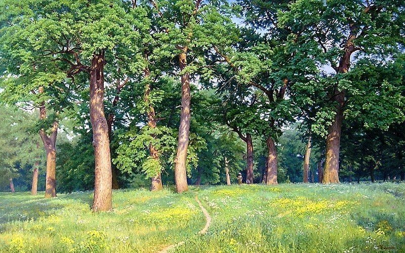 №2724899 - поляна, лес - оригинал