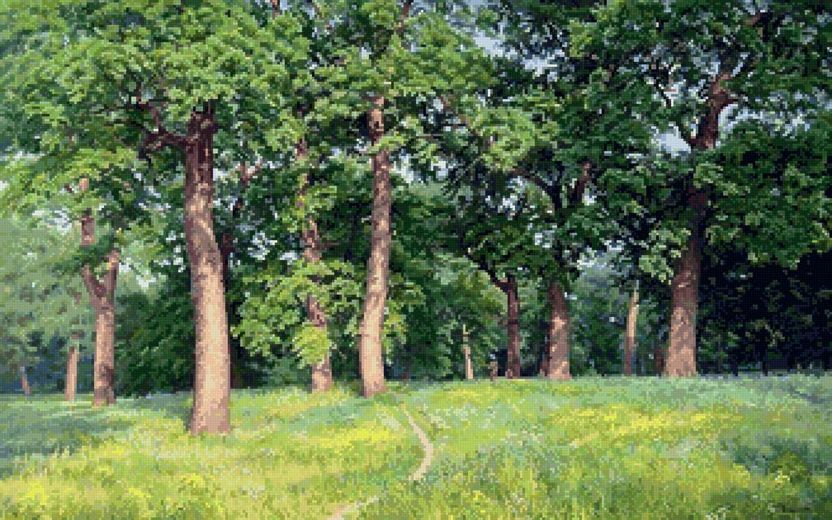 №2724899 - лес, поляна - предпросмотр