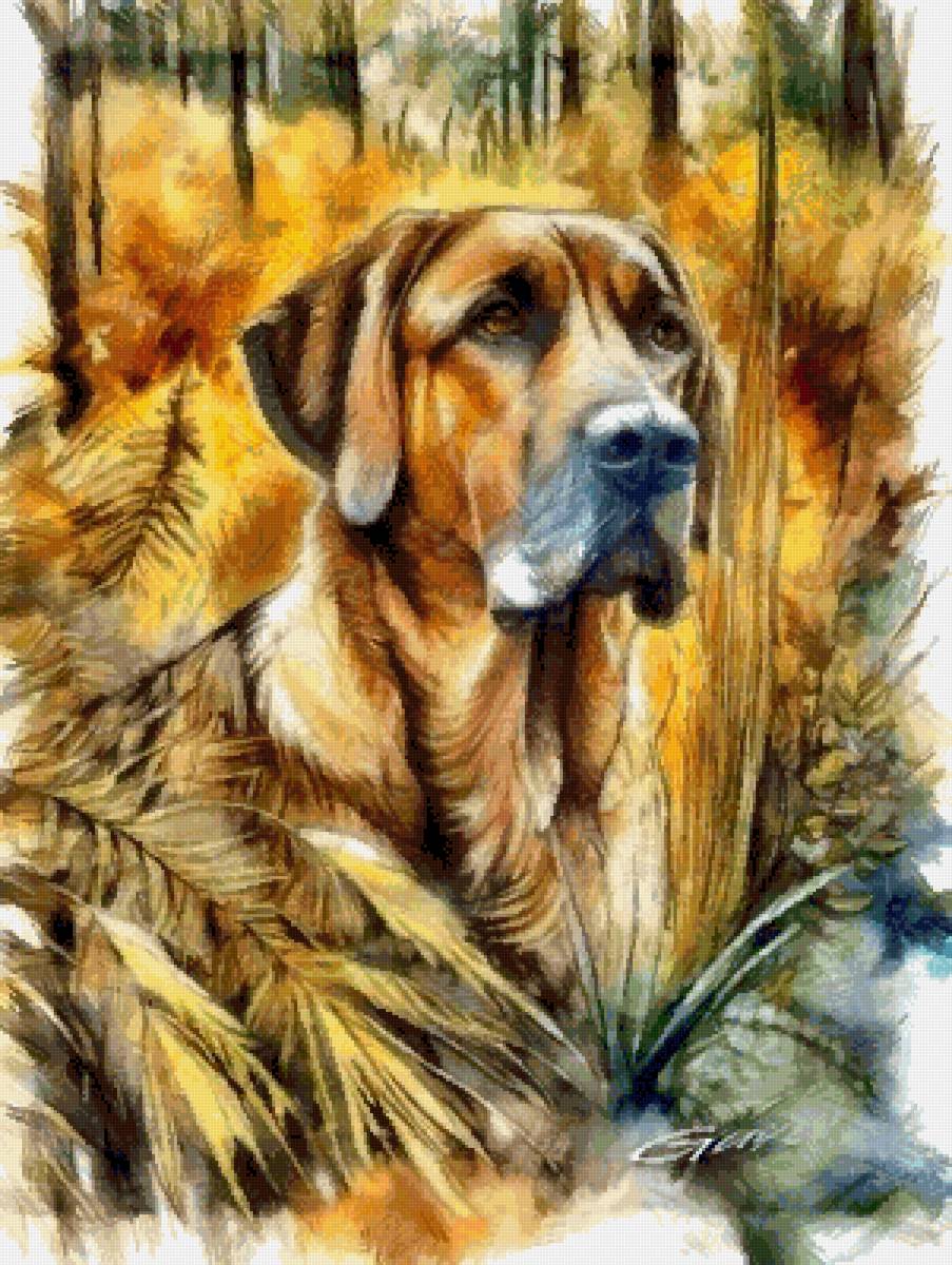 Большая собака - собака, собаки, животные - предпросмотр