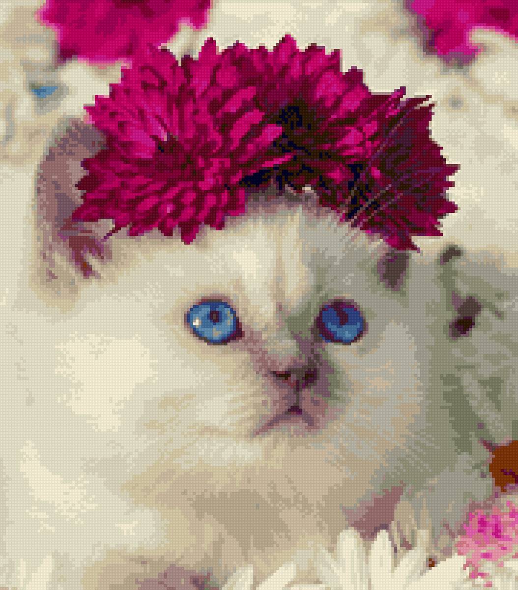 Кисуля - киса - предпросмотр