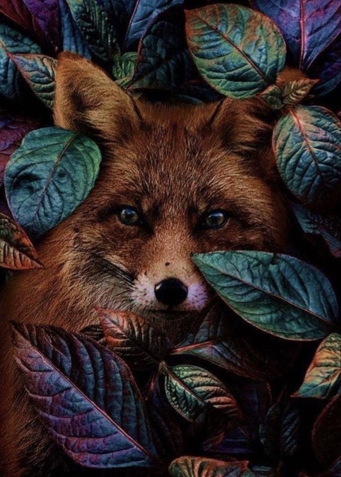 Лиса в листве - лиса листики - оригинал