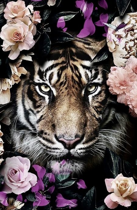 Тигр в цветах - тигр цветы - оригинал