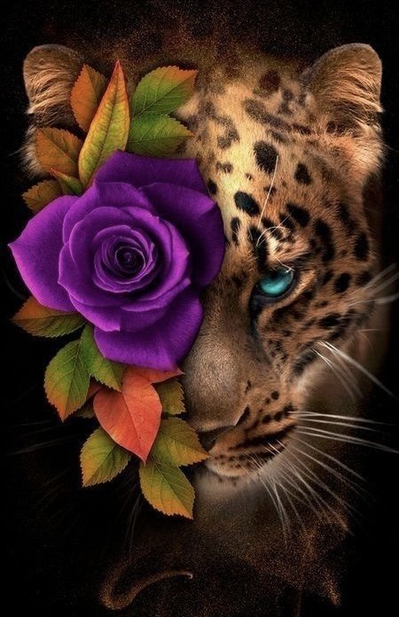1/2 леопарда с цветком - леопард цветок - оригинал