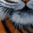 Предпросмотр схемы вышивки «Тигр» (№2726007)