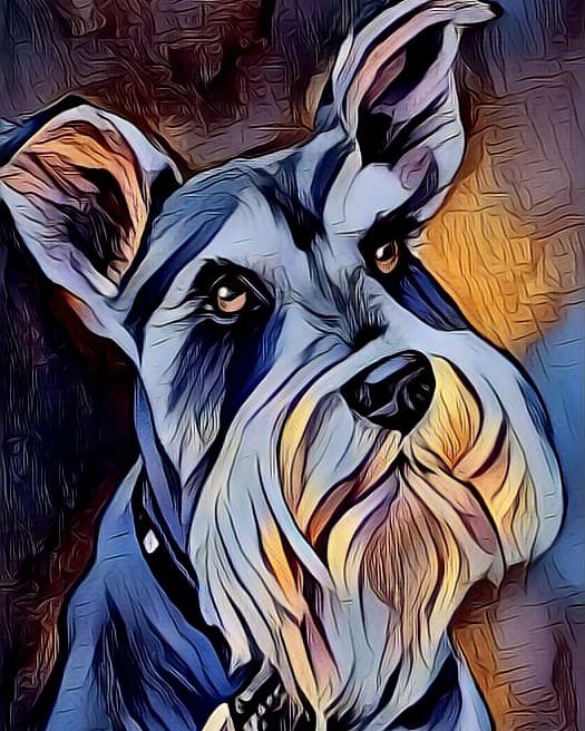 Керри-блю - керри-блю терьер, собака, животные - оригинал