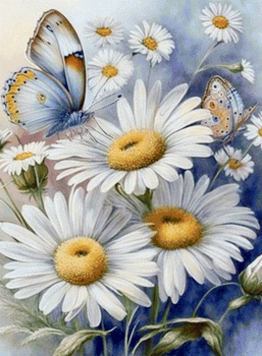 Ромашки и бабочки - ромашки, цветы, бабочки - предпросмотр