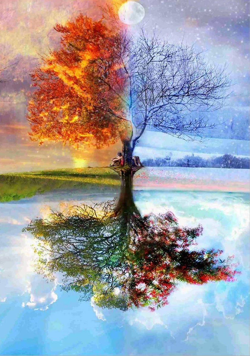 Дерево 4 сезона - 4, сезон, осень, весна, дерево, зима, лето - оригинал