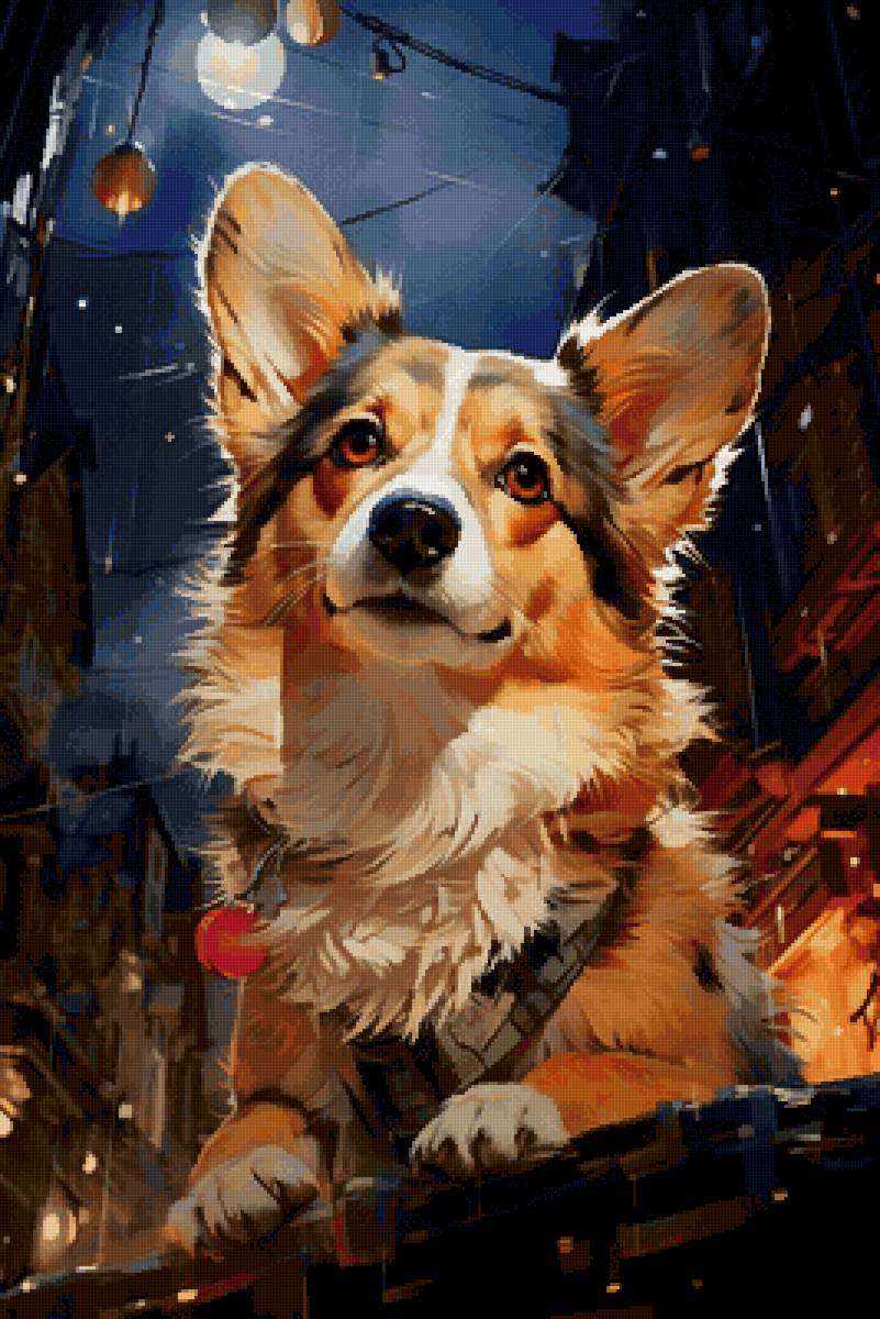 Корги - собака, животные - предпросмотр