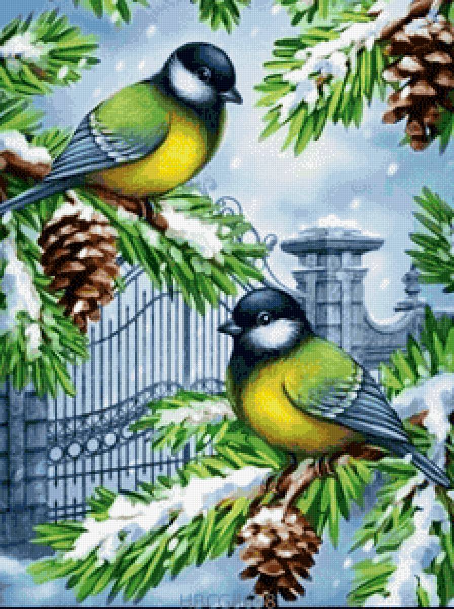 Городские синицы - птицы, синицы, зима - предпросмотр