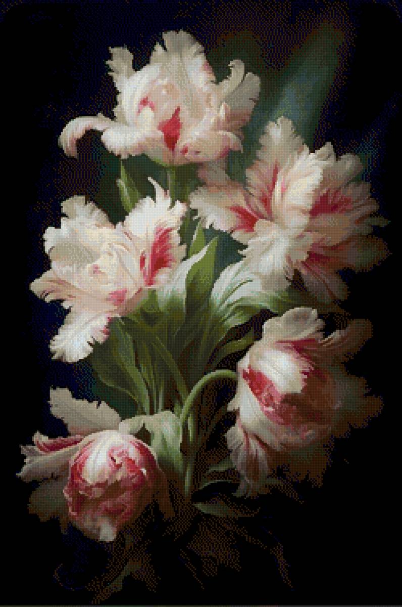 Бахромчатые тюльпаны - тюльпаны - предпросмотр