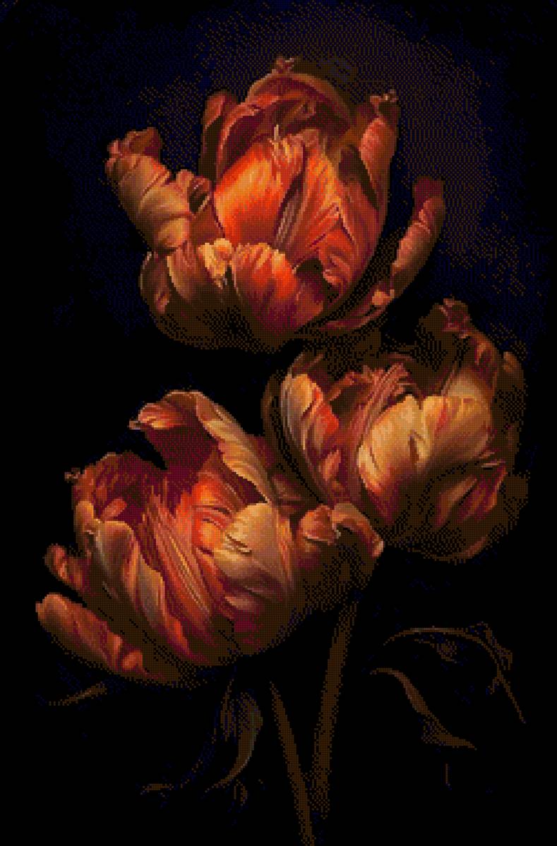 Алые тюльпаны - тюльпаны - предпросмотр