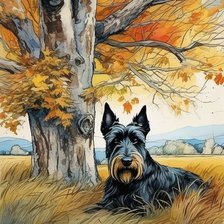 Схема вышивки «Шотландский терьер»