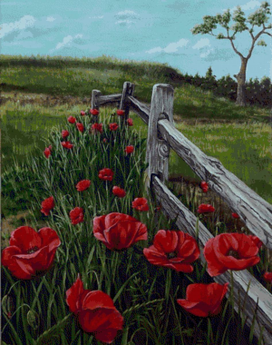 мак - предпросмотр