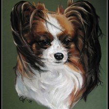 Схема вышивки «Папильон»