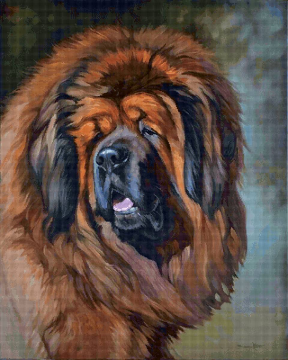 Тибетский мастиф - животные, собака, тибетский мастиф, собаки - предпросмотр