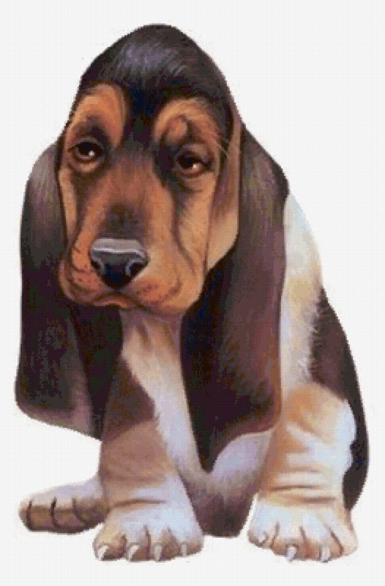 №2727895 - собака, собаки, животные - предпросмотр