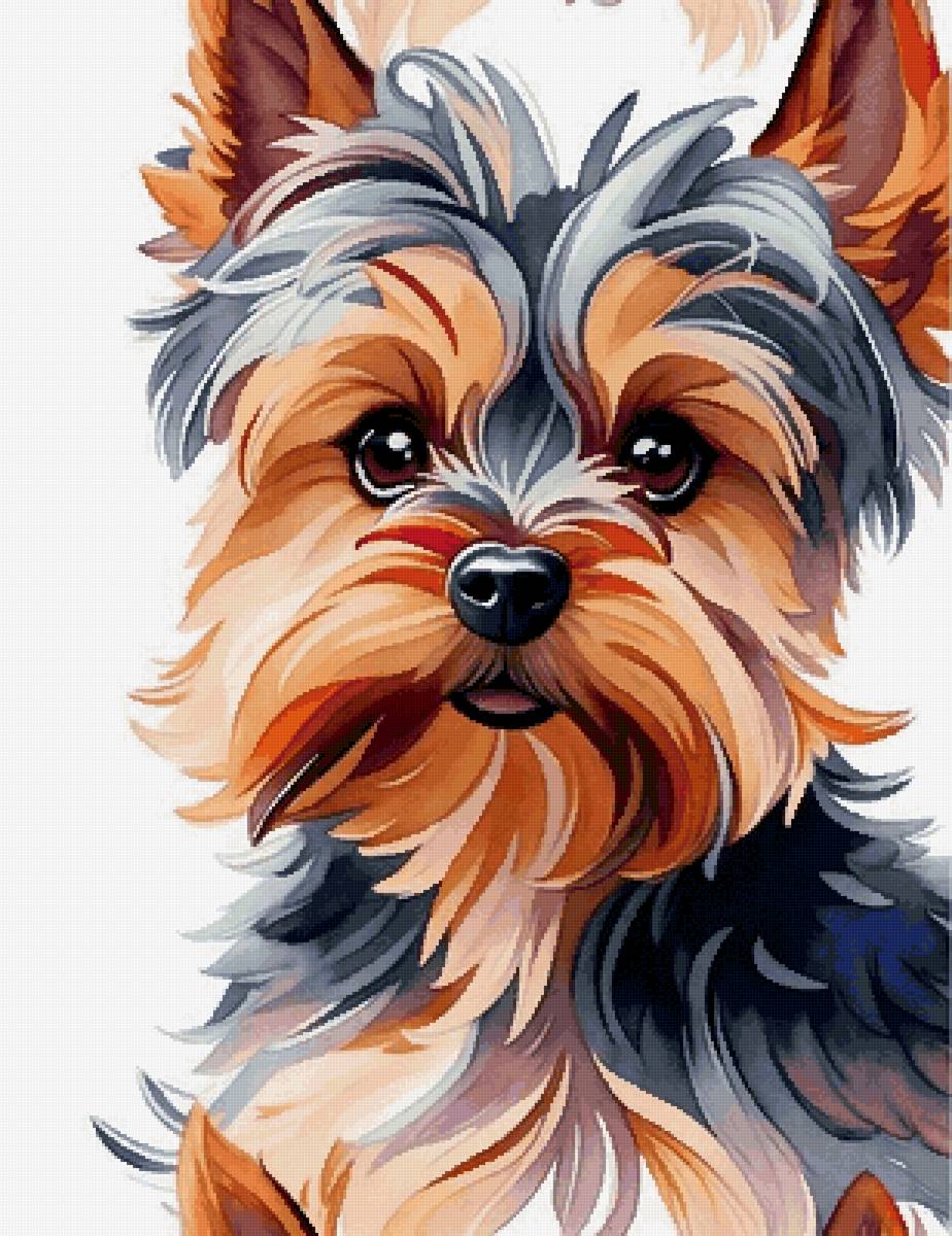 Йорк - йоркширский терьер, животные, собака, собаки - предпросмотр