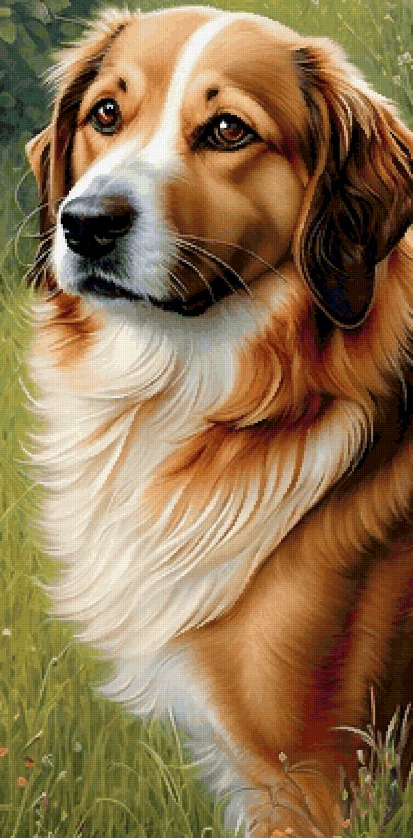 Собака - собака, животные, собаки - предпросмотр